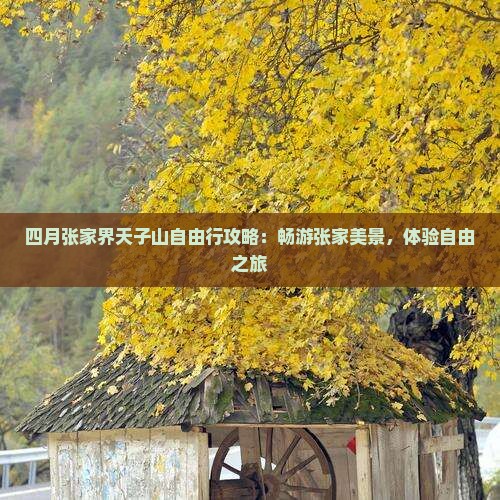 四月张家界天子山自由行攻略：畅游张家美景，体验自由之旅
