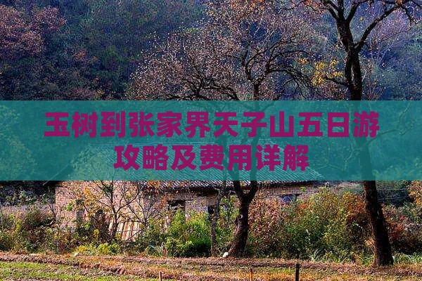 玉树到张家界天子山五日游攻略及费用详解