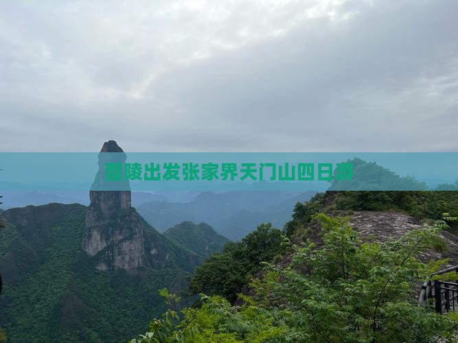 醴陵出发张家界天门山四日游