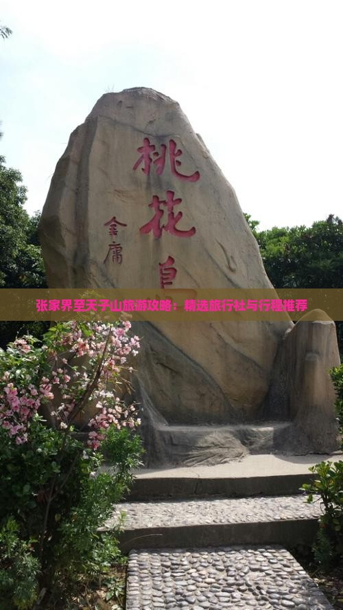 张家界至天子山旅游攻略：精选旅行社与行程推荐