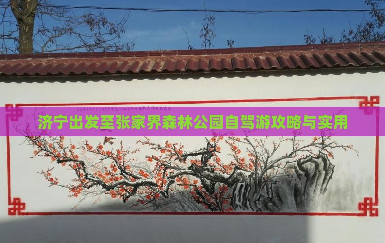 济宁出发至张家界森林公园自驾游攻略与实用