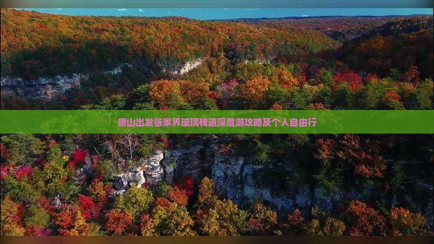 唐山出发张家界玻璃栈道深度游攻略及个人自由行