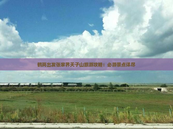 鹤岗出发张家界天子山旅游攻略：必游景点详尽