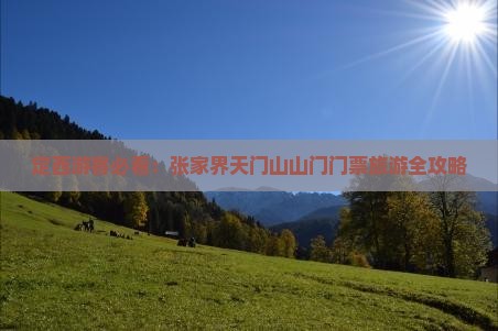 定西游客必看：张家界天门山山门门票旅游全攻略