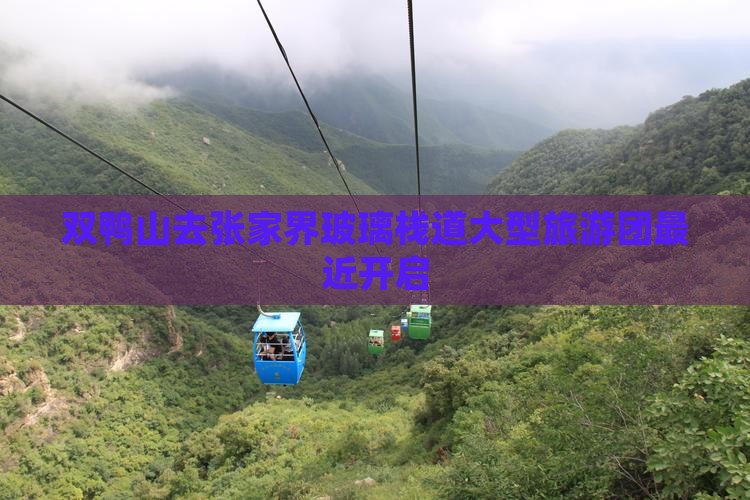 双鸭山去张家界玻璃栈道大型旅游团最近开启