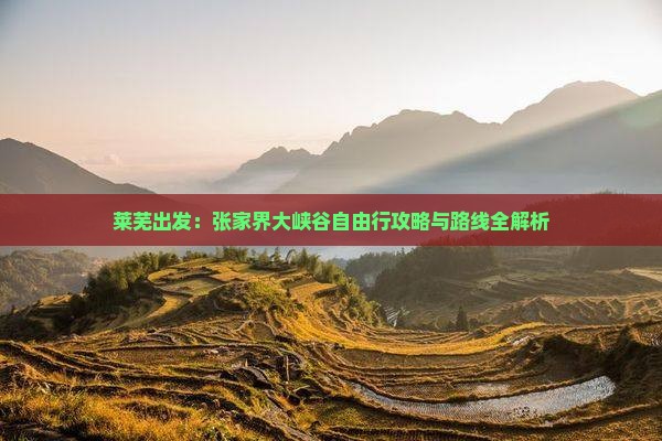莱芜出发：张家界大峡谷自由行攻略与路线全解析