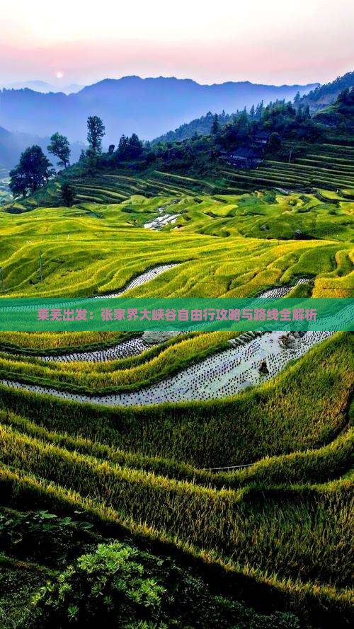 莱芜出发：张家界大峡谷自由行攻略与路线全解析