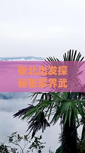 张北出发探秘张家界武陵源个人旅行记