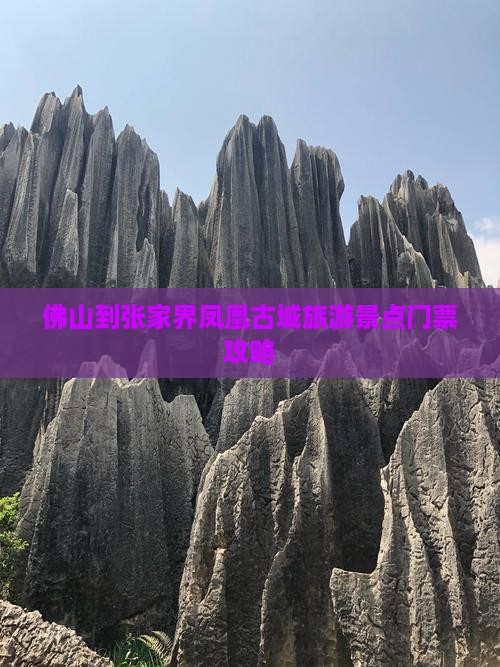 佛山到张家界凤凰古城旅游景点门票攻略