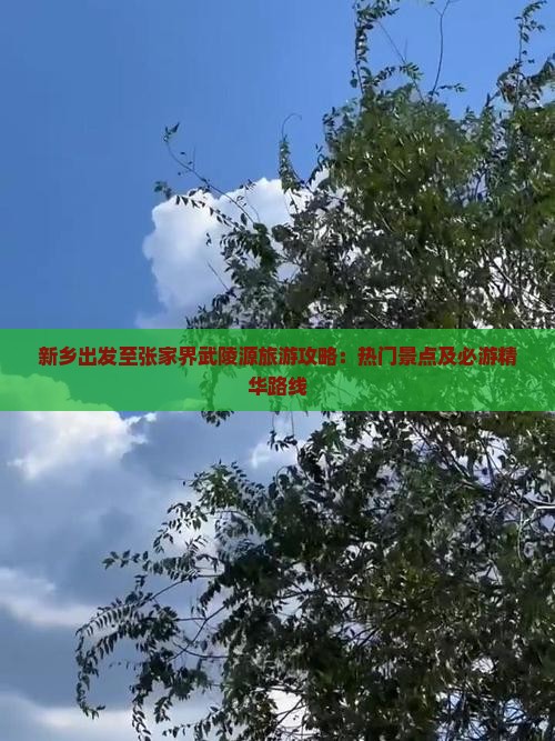 新乡出发至张家界武陵源旅游攻略：热门景点及必游精华路线