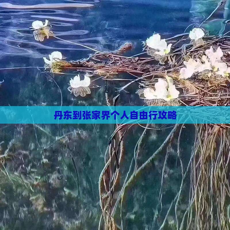 丹东到张家界个人自由行攻略