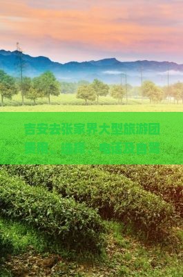 吉安去张家界大型旅游团费用、选择、电话及自驾公里数解析