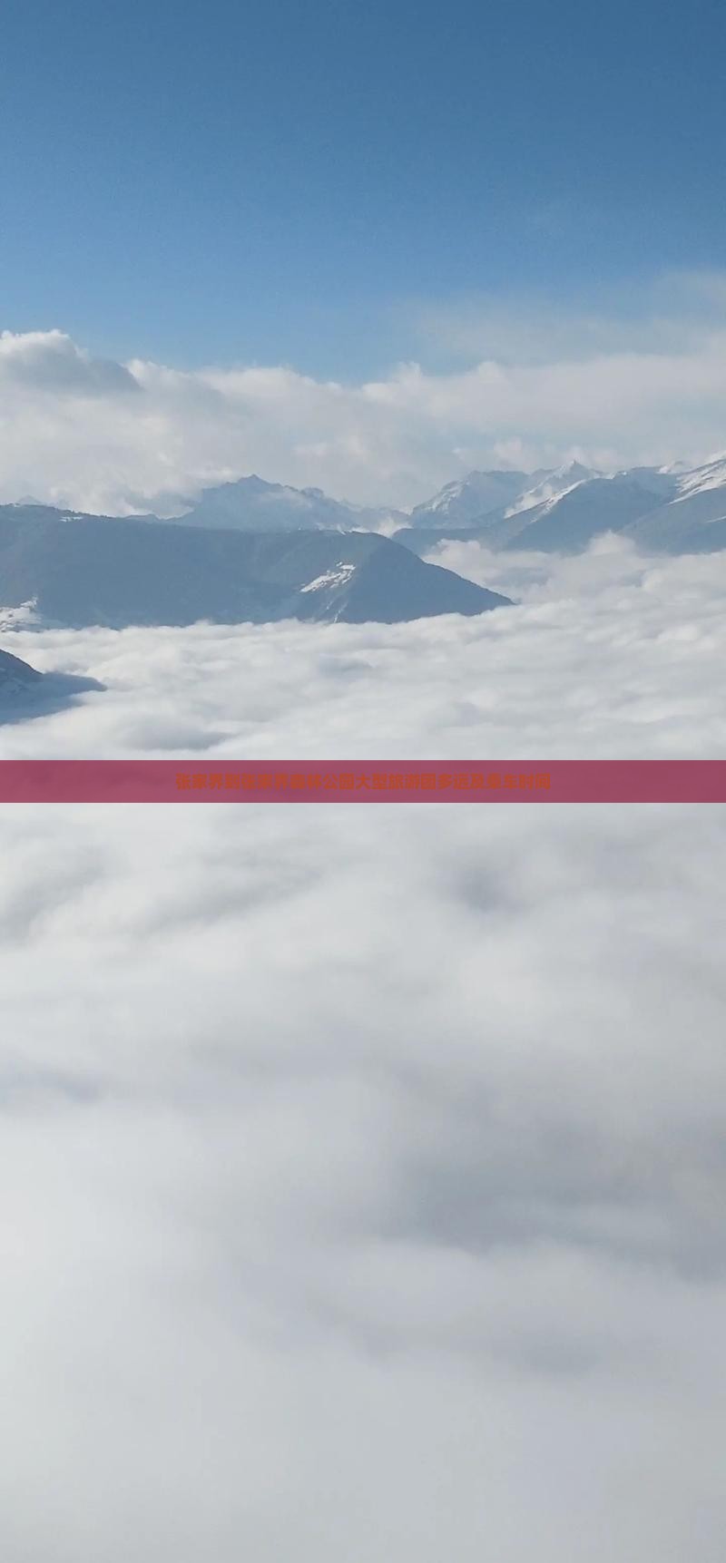 张家界到张家界森林公园大型旅游团多远及乘车时间