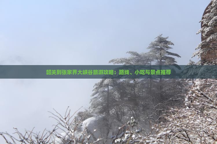韶关到张家界大峡谷旅游攻略：路线、小吃与景点推荐