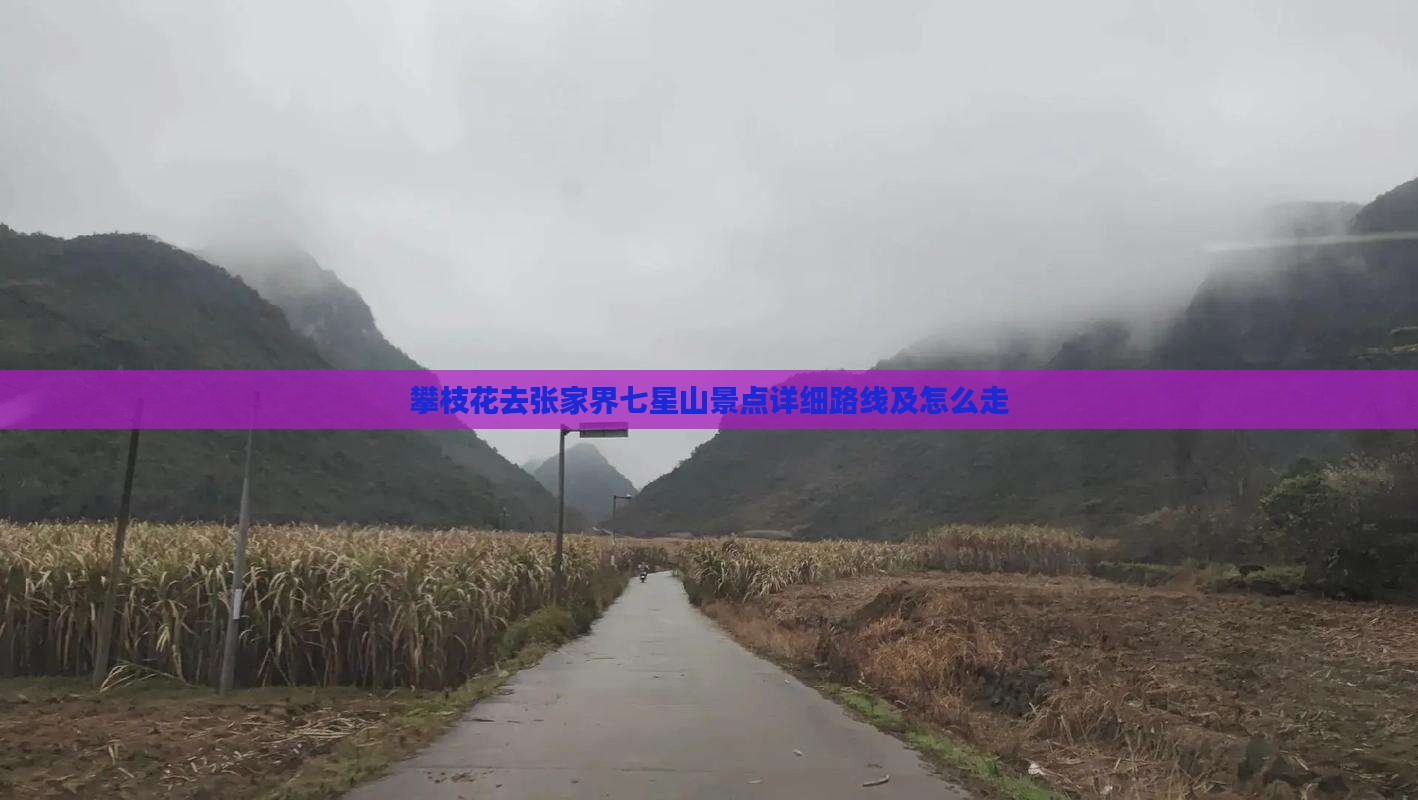 攀枝花去张家界七星山景点详细路线及怎么走