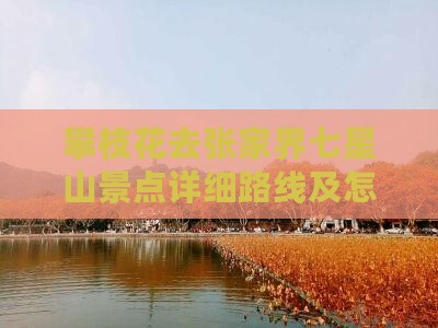 攀枝花去张家界七星山景点详细路线及怎么走