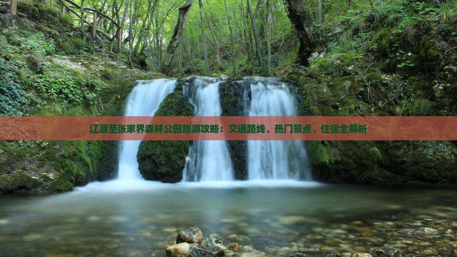 辽源至张家界森林公园旅游攻略：交通路线、热门景点、住宿全解析