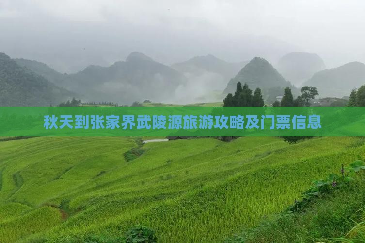 秋天到张家界武陵源旅游攻略及门票信息