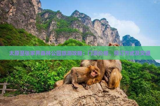 太原至张家界森林公园旅游攻略：门票价格、预订方式及交通