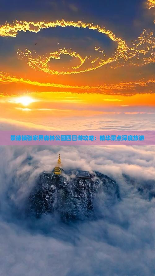 景德镇张家界森林公园四日游攻略：精华景点深度旅游
