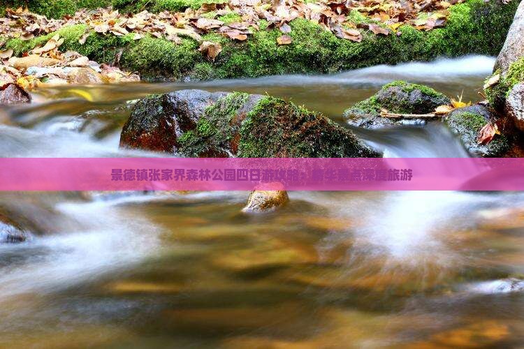 景德镇张家界森林公园四日游攻略：精华景点深度旅游