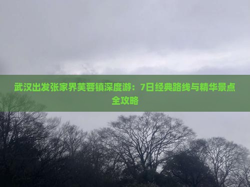 武汉出发张家界芙蓉镇深度游：7日经典路线与精华景点全攻略