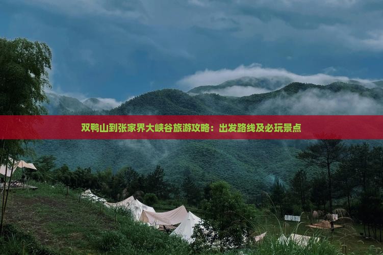 双鸭山到张家界大峡谷旅游攻略：出发路线及必玩景点