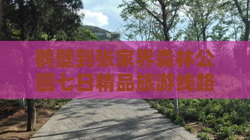 鹤壁到张家界森林公园七日精品旅游线路推荐