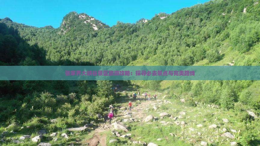 张家界大峡谷景区旅游攻略：探寻必去景点与完美路线