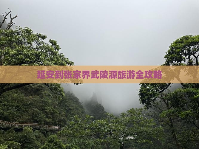 延安到张家界武陵源旅游全攻略