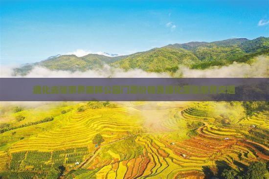 通化去张家界森林公园门票价格及通化至张家界交通