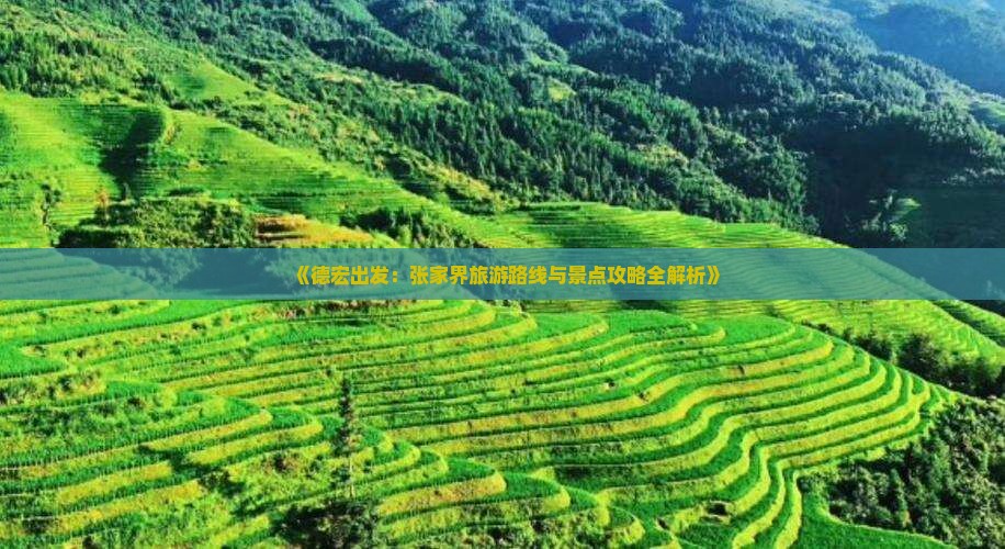 《德宏出发：张家界旅游路线与景点攻略全解析》