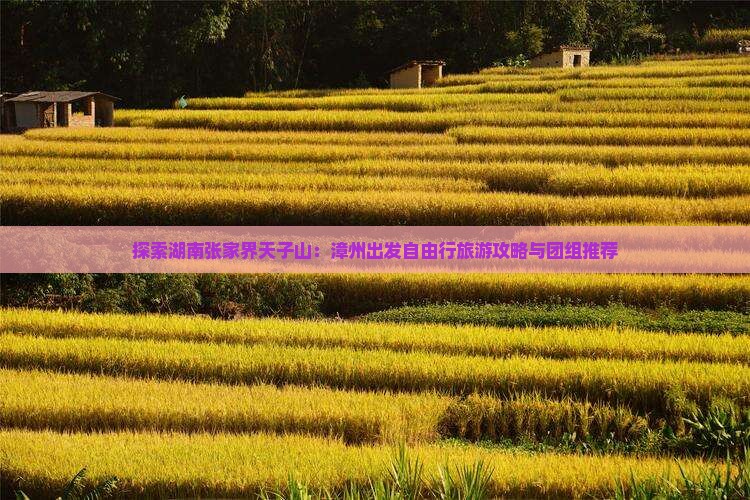 探索湖南张家界天子山：漳州出发自由行旅游攻略与团组推荐