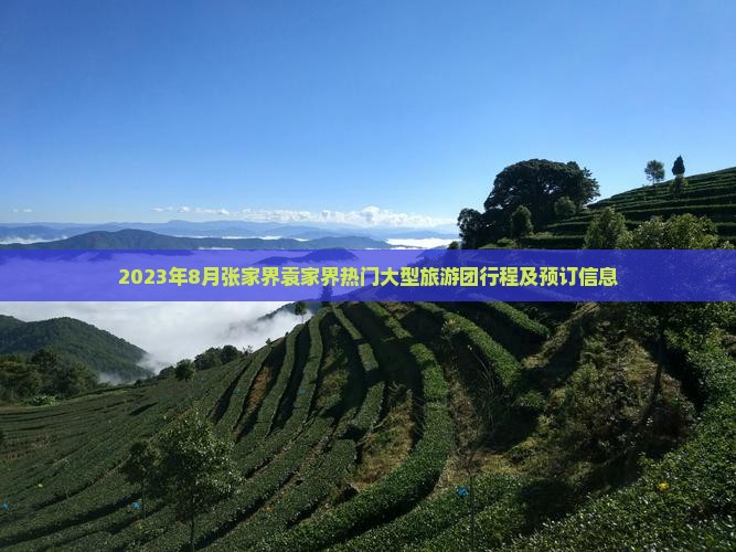 2023年8月张家界袁家界热门大型旅游团行程及预订信息