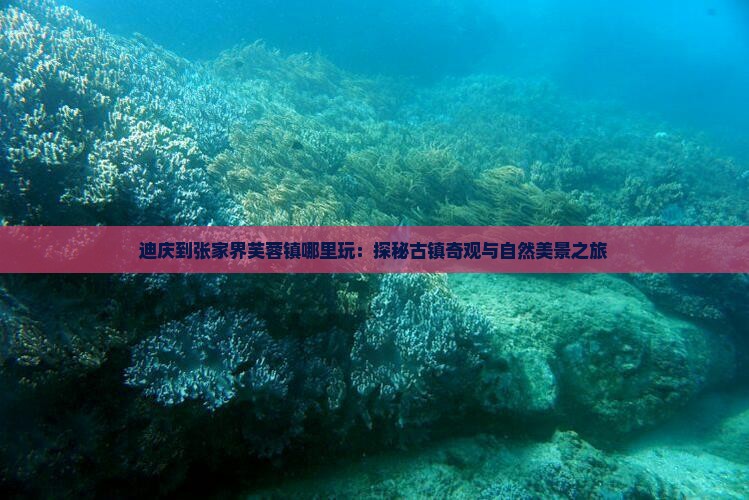 迪庆到张家界芙蓉镇哪里玩：探秘古镇奇观与自然美景之旅