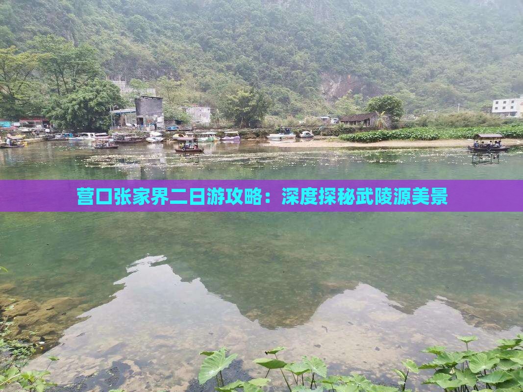营口张家界二日游攻略：深度探秘武陵源美景