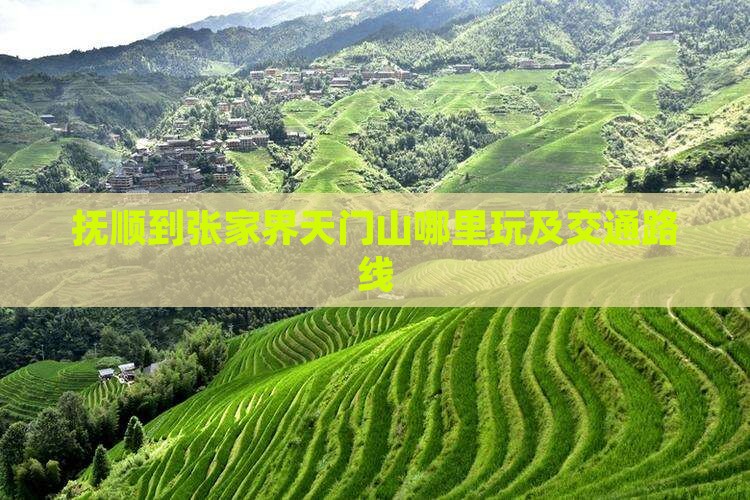 抚顺到张家界天门山哪里玩及交通路线