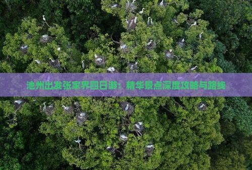 池州出发张家界四日游：精华景点深度攻略与路线