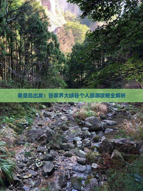 秦皇岛出发：张家界大峡谷个人旅游攻略全解析