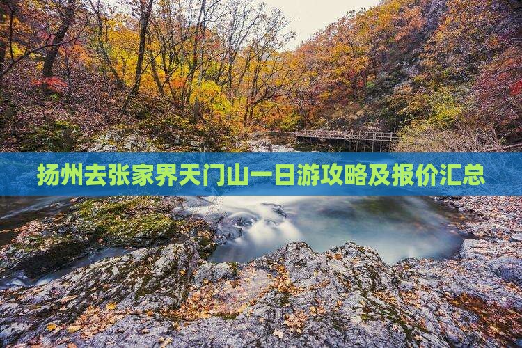 扬州去张家界天门山一日游攻略及报价汇总