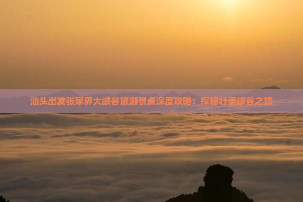 汕头出发张家界大峡谷旅游景点深度攻略：探秘壮美峡谷之旅