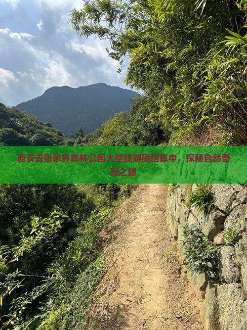 西安去张家界森林公园大型旅游团招募中，探秘自然奇观之旅