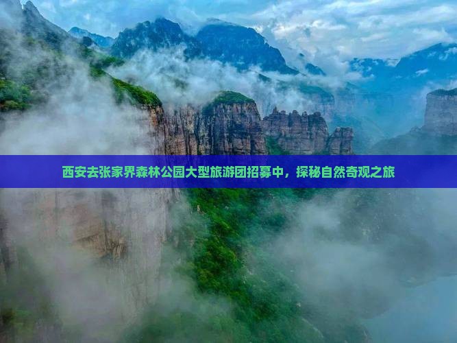 西安去张家界森林公园大型旅游团招募中，探秘自然奇观之旅
