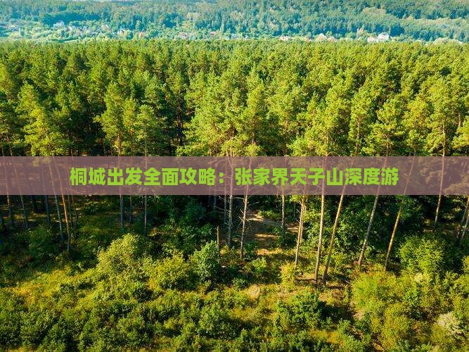 桐城出发全面攻略：张家界天子山深度游