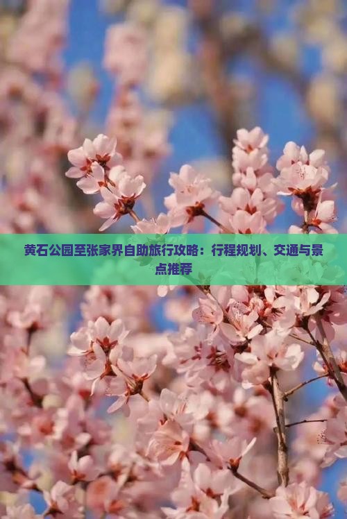 黄石公园至张家界自助旅行攻略：行程规划、交通与景点推荐