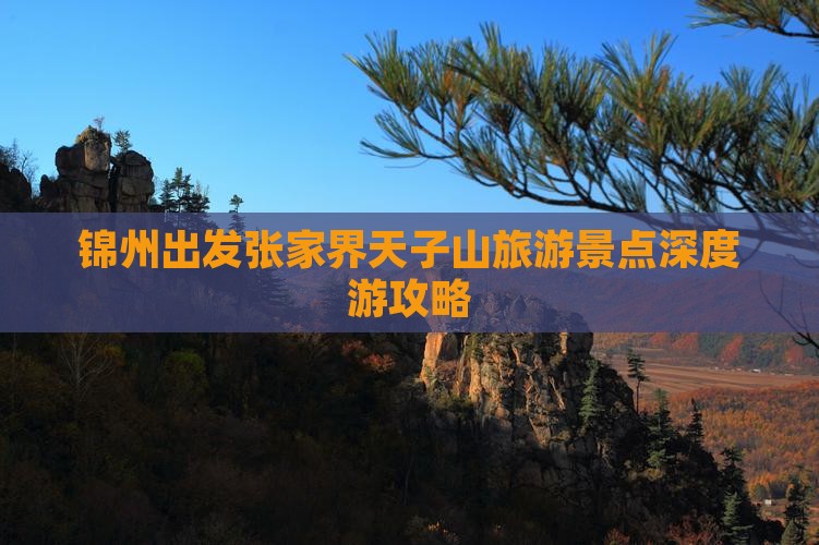 锦州出发张家界天子山旅游景点深度游攻略