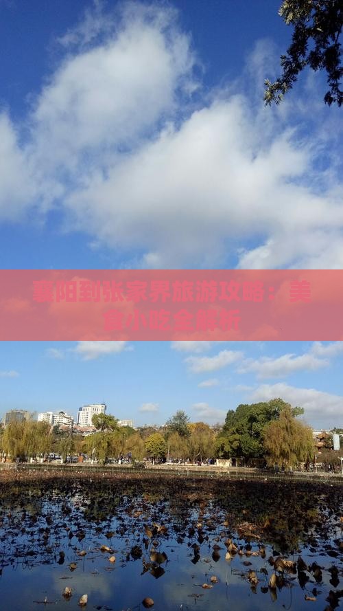 襄阳到张家界旅游攻略：美食小吃全解析