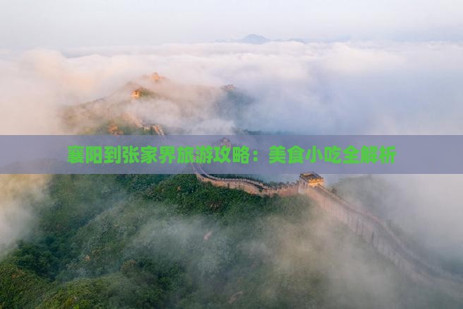 襄阳到张家界旅游攻略：美食小吃全解析