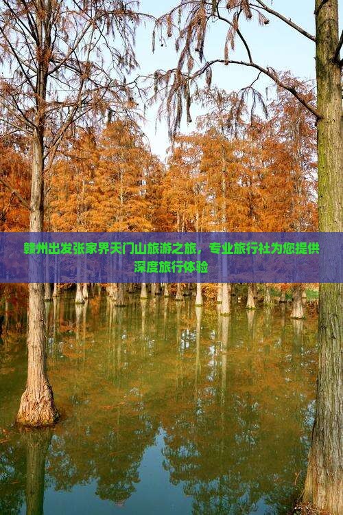 赣州出发张家界天门山旅游之旅，专业旅行社为您提供深度旅行体验