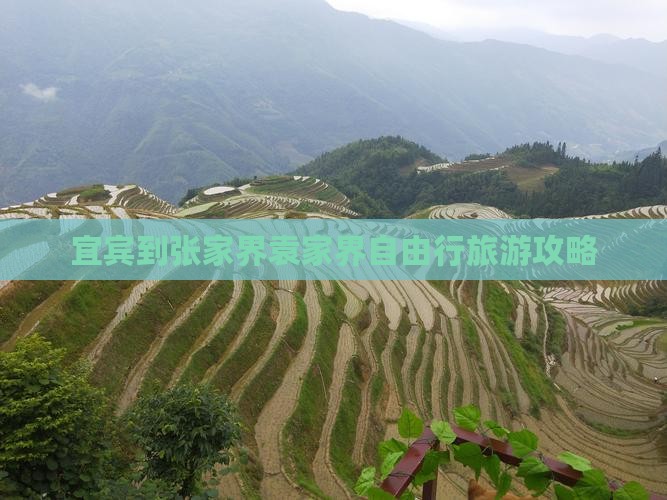 宜宾到张家界袁家界自由行旅游攻略